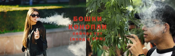 твердый Мегион