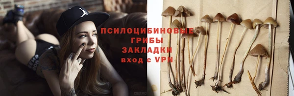 твердый Мегион