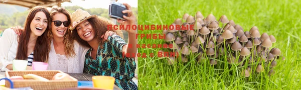 твердый Мегион