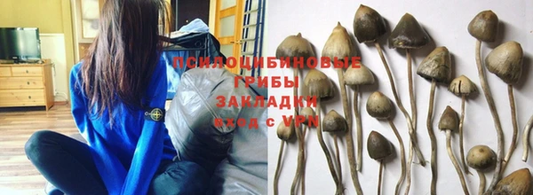твердый Мегион
