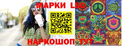 apvp Камышлов