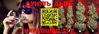 ALPHA PVP Кандалакша
