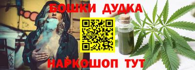 apvp Камышлов