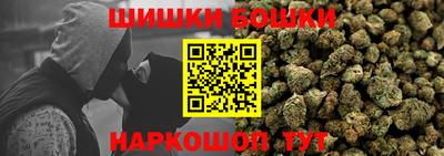 apvp Камышлов