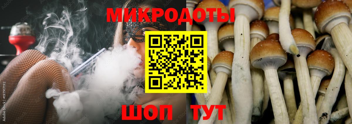 Галлюциногенные грибы прущие грибы  Галлюциногенные грибы Psilocybe  Вход с VPN  Тавда 