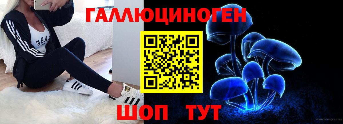 Галлюциногенные грибы Psilocybe Тавда