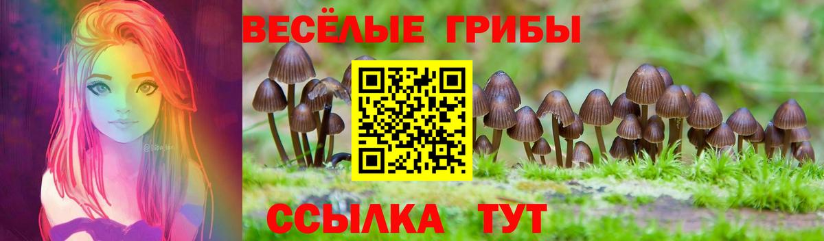 25-NBOMe  Канабис  Гарик  Мефедрон  Тавда  КОКАИН  Вход с VPN  Мяу-Мяу  Каннабис  XTC 