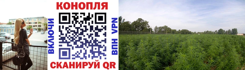 сколько стоит  Тавда  Каннабис ГИДРОПОН 